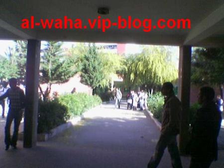 waha school
