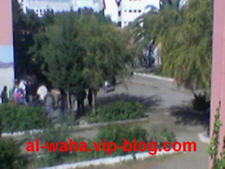 waha school 