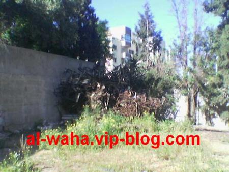 lwakha school héhé