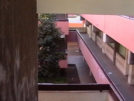 waha school