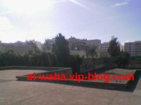 waha school