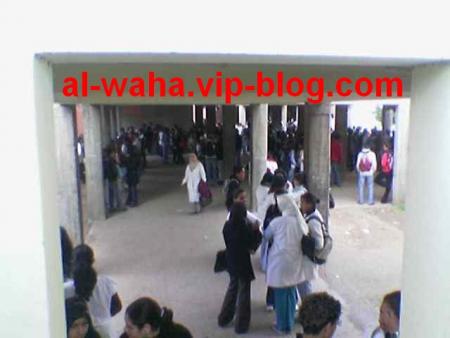 waha school 