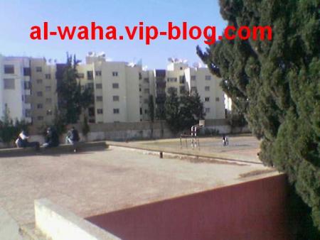 waha school (idrab)