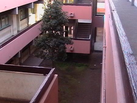 waha school